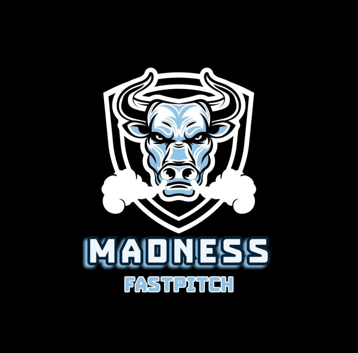 Madness Softball 12u 2026 ONE TIME PAYMENT ($1650 +$50 processing fee)